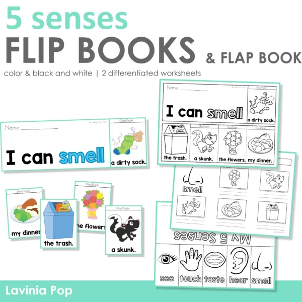 Flip Books 5 Senses