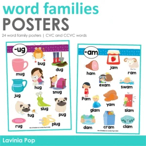24 word family posters CVC and CCVC words
