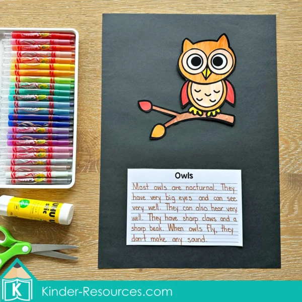 Writing Prompt Craft Activity Owls