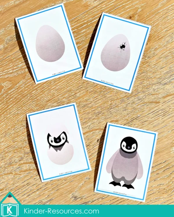 Polar Animals Printable Preschool Centers. Math activity - penguin life cycle sequencing cards