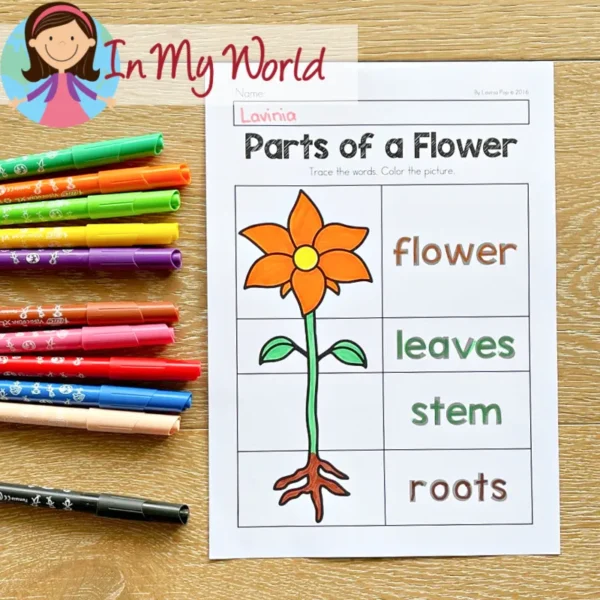 Preschool Spring Worksheets Parts of a Flower