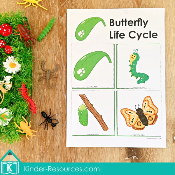 Bugs Preschool Center Activities. Butterfly Life Cycle