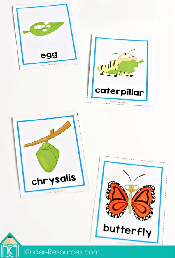 Preschool Spring Centers. Butterfly Life Cycle Cards