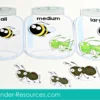 Preschool Spring Centers. Sorting Bugs by Size