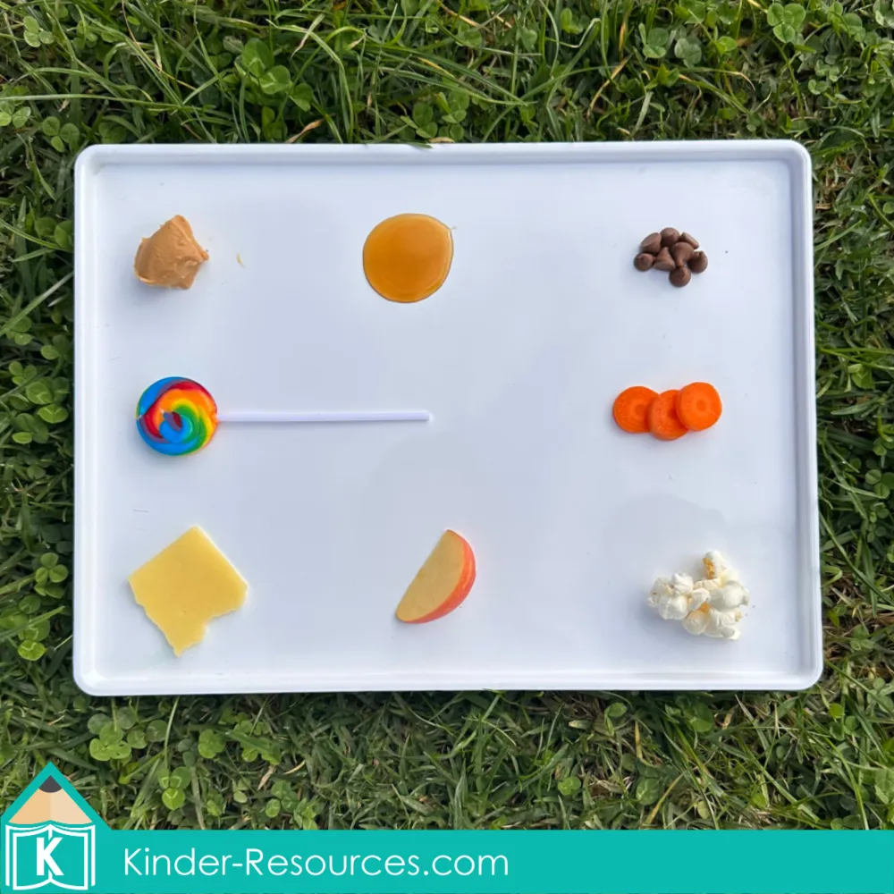 FREE Activity What do Ants Eat Observation Tray