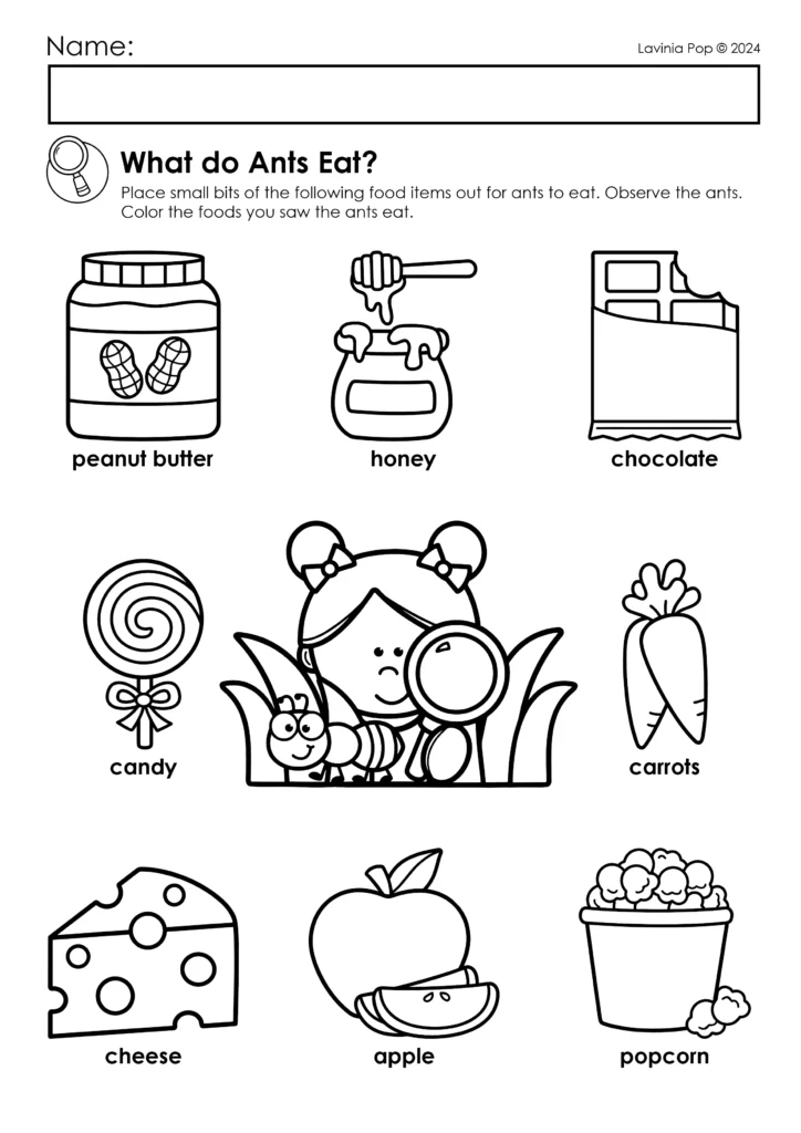 FREE Printable What do Ants Eat Observation Activity by Lavinia Pop