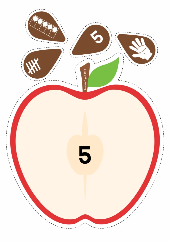 FREE Apple seed number cards for preschool and kindergarten students to match numerals with quantities. Download FREE sample activities here on the blog!
