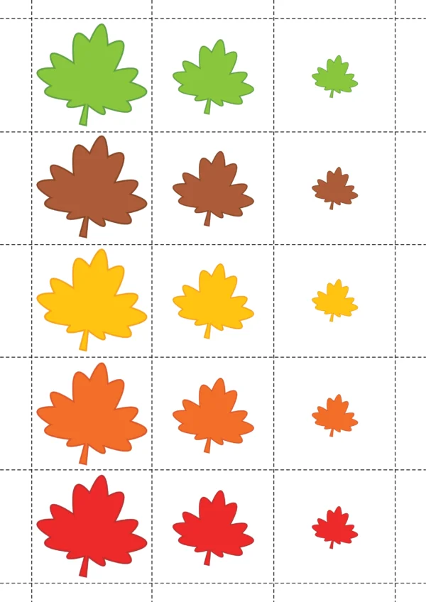 Autumn Leaves, Pumpkins and Apples Sort by Size Activity