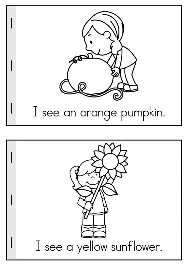 Fall Colors Emergent Reader with Comprehension Questions | Color Booklet | Black and white Booklet