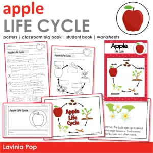 Apple Life Cycle Printable Posters Books Worksheets