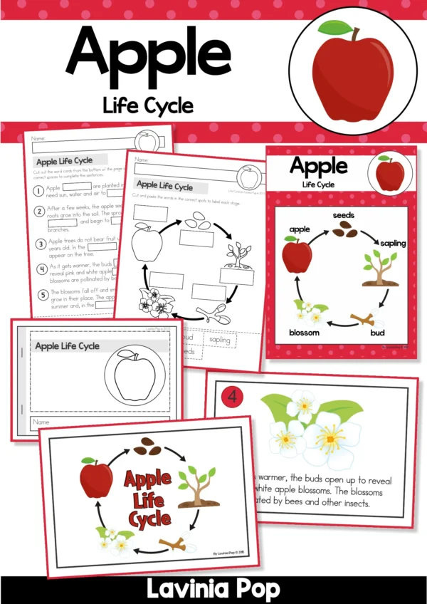 Apple Life Cycle Printable Posters Books Worksheets