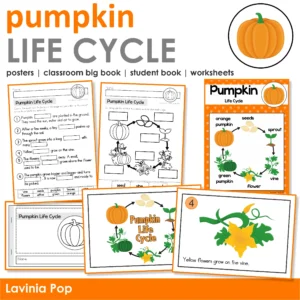 Pumpkin Life Cycle Printable Posters, Books, Worksheets