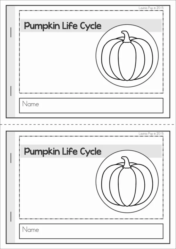 Pumpkin Life Cycle Printable Posters, Books, Worksheets | Life Cycle Booklet