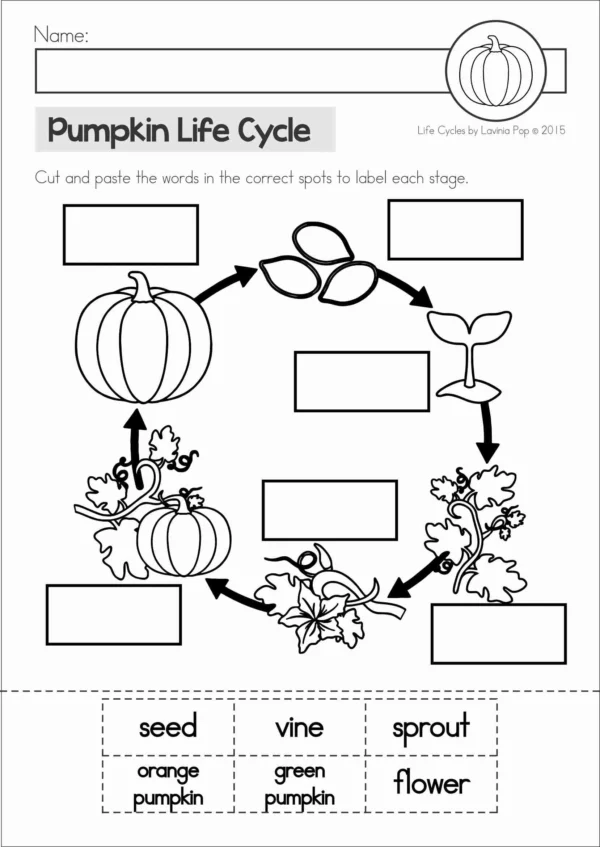 Pumpkin Life Cycle Printable Posters, Books, Worksheets | Cur and Paste Worksheet