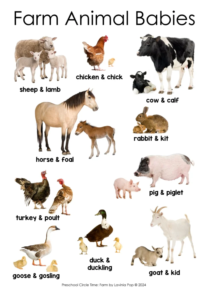 Farm Preschool Circle Time Printables and Activities | Farm Animal Babies Poster