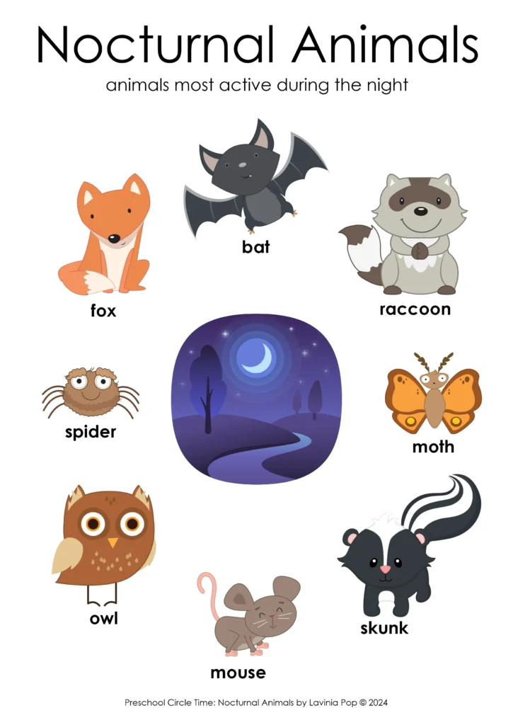 Nocturnal animals poster with cartoon fox, bat, raccoon, spider, moth, owl, mouse, and skunk for preschool science and classroom display.