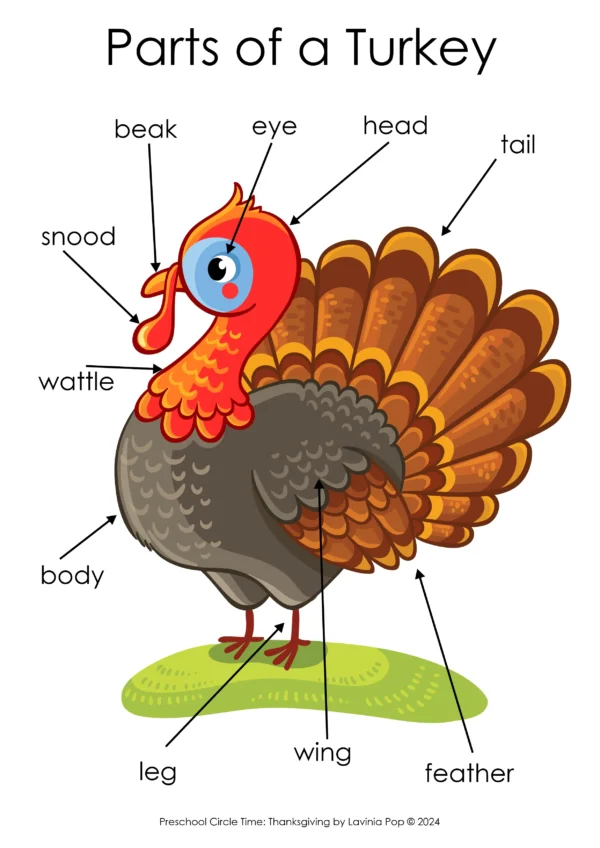 Thanksgiving Preschool Unit | Circle Time Printables and Activities