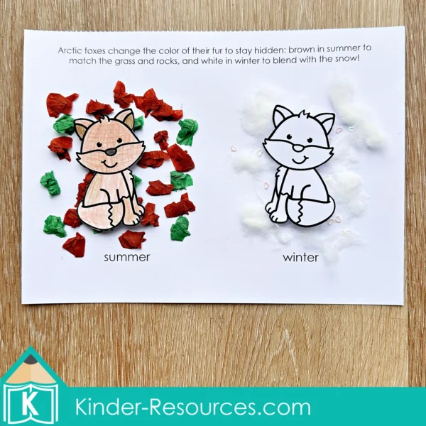 Arctic Animals Preschool Unit | Circle Time Printables and Activities | Arctic Fox in Winter and Summer Fur Craft