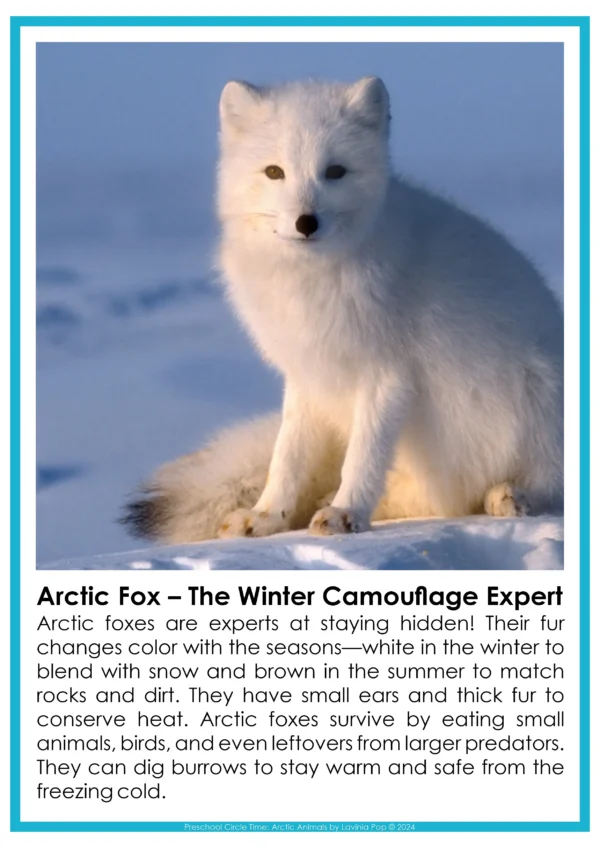 Arctic Animals Preschool Unit | Circle Time Printables and Activities | Arctic Animals Preschool Unit | Circle Time Printables and Activities | Informational Text: Arctic Fox