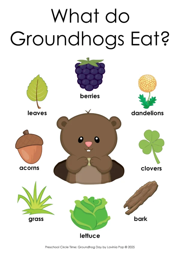 Groundhog Day Preschool Unit | Circle Time Printables and Activities | What do Groundhogs Eat?