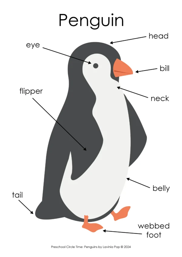 Penguins Preschool Unit | Circle Time Printables and Activities | Penguin Parts