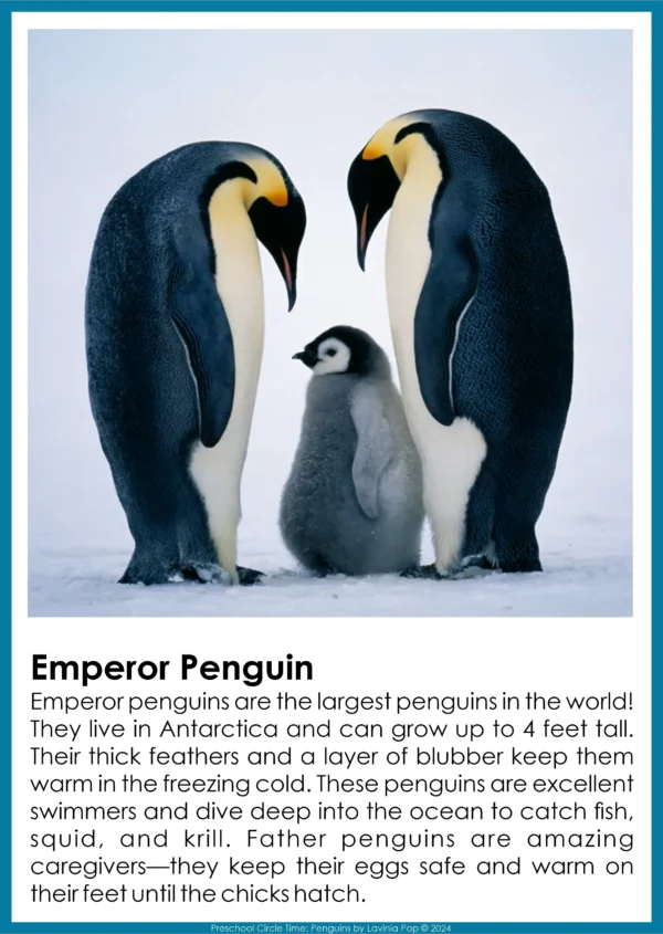 Penguins Preschool Unit | Circle Time Printables and Activities | Informational Text: Emperor Penguin