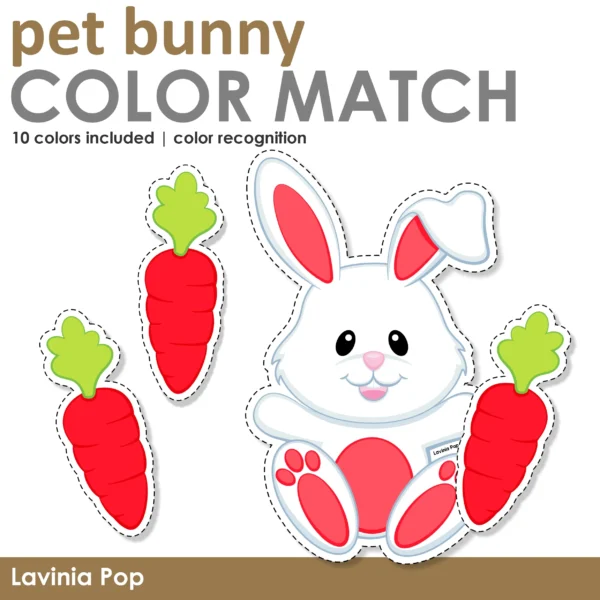 Pet Bunny and Carrot Color Matching Printable Activity | PreK Homeschool | Color Reconition