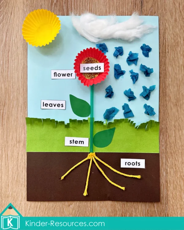 Preschool Parts of a Flower Craft