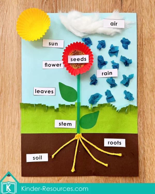 Preschool Parts of a Flower and What a Flower Needs Craft