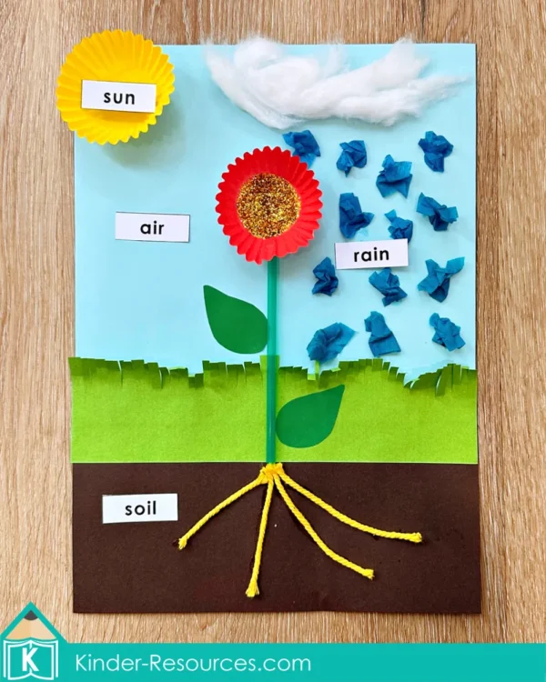 Preschool What a Plant Needs Craft