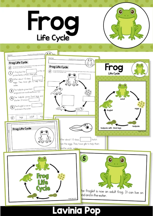 Frog Life Cycle Activities for Kindergarten | Cut and Paste Science Worksheets, Posters & Mini Book