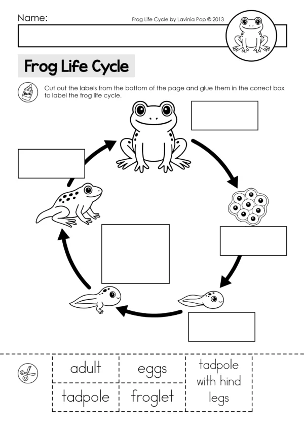 Frog Life Cycle Activities for Kindergarten | Cut and Paste Science Worksheets, Posters & Mini Book