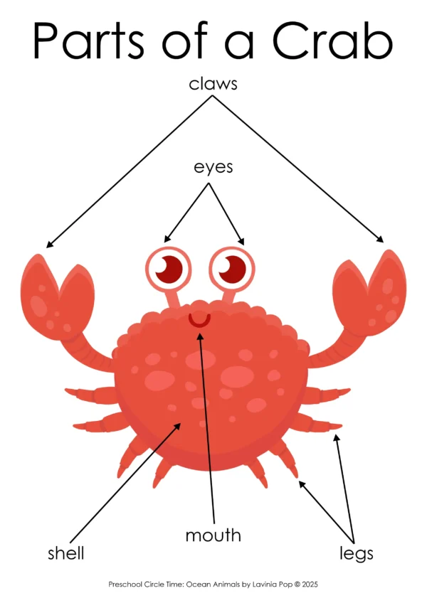 Crab Parts Poster | Teach children about the parts of a crab with this simple, visual science poster. Great for building animal vocabulary.