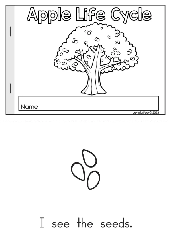 Apple life cycle emergent reader in black and white for preschool with apple tree and seed illustration.