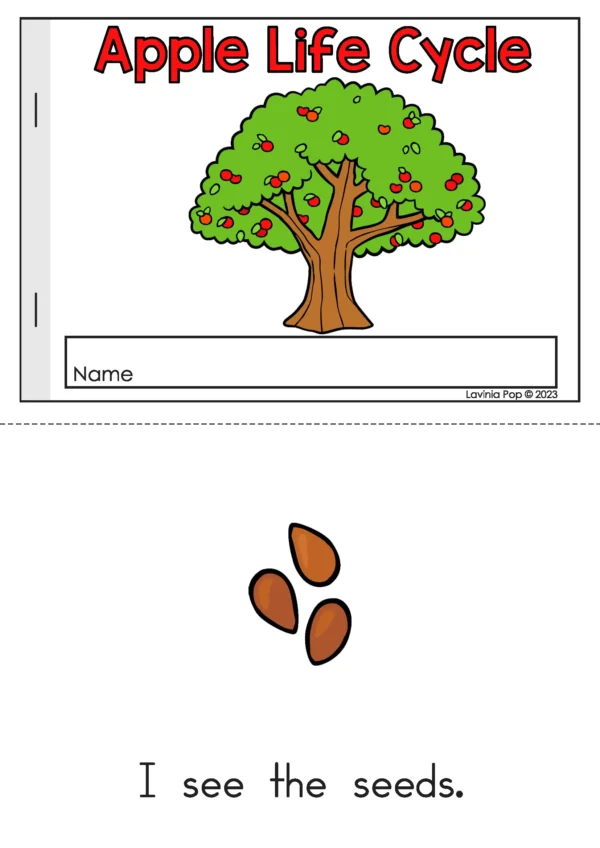 Apple life cycle emergent reader in color showing tree with apples and seeds page for preschool students.