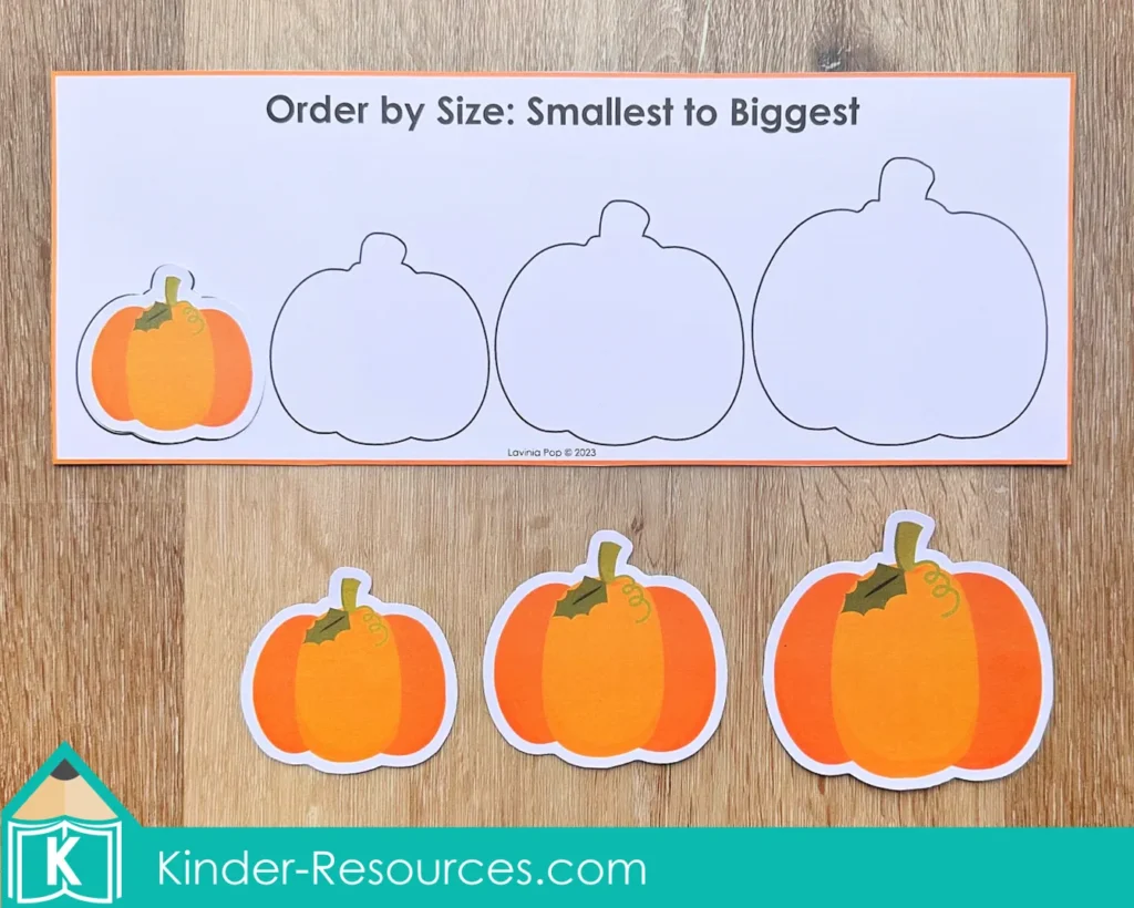Pumpkin ordering activity for preschool where children arrange pumpkins from smallest to biggest.