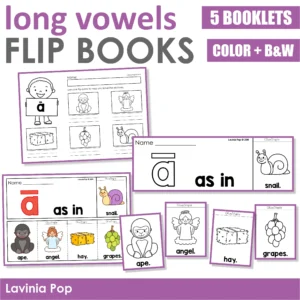 Long vowel flip books and labeling worksheets with five booklets in color and black and white for kindergarten phonics practice