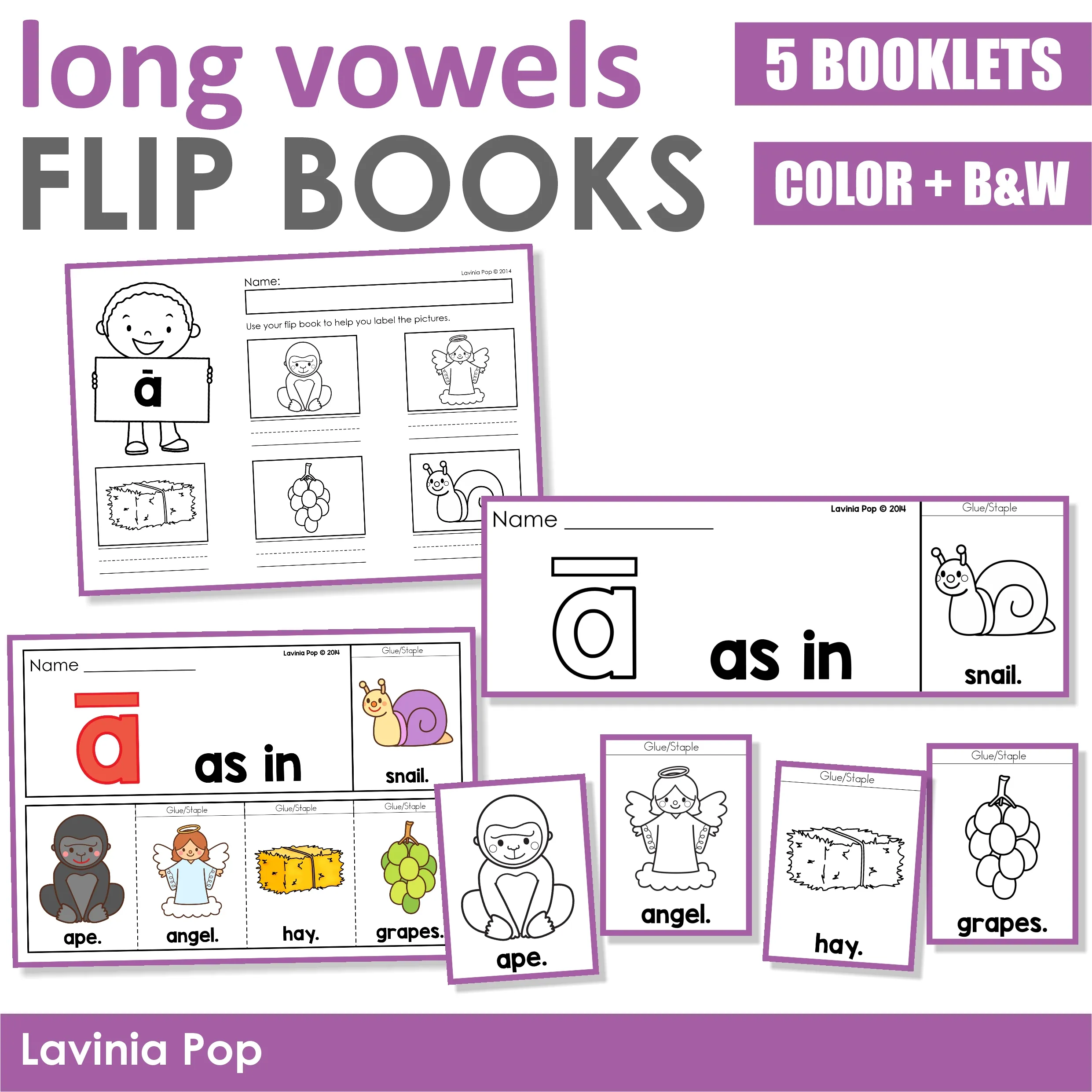 Long Vowel Flip Books and Labeling Worksheets Long vowel flip books and labeling worksheets with five booklets in color and black and white for kindergarten phonics practice