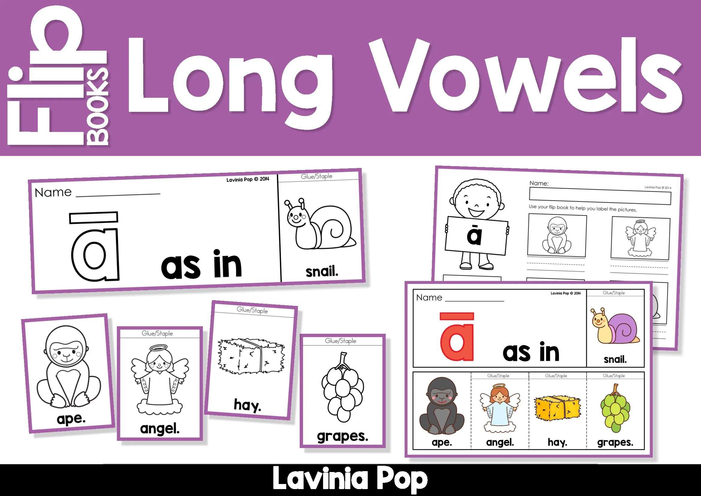 Long Vowel Flip Books and Labeling Worksheets Long vowel flip books and labeling worksheets with five booklets in color and black and white for kindergarten phonics practice