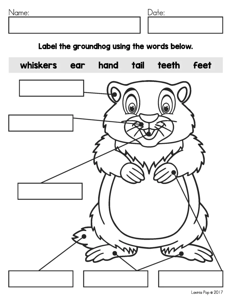 February Writing Prompts First Grade label the groundhog worksheet with body parts vocabulary and writing lines for early learners