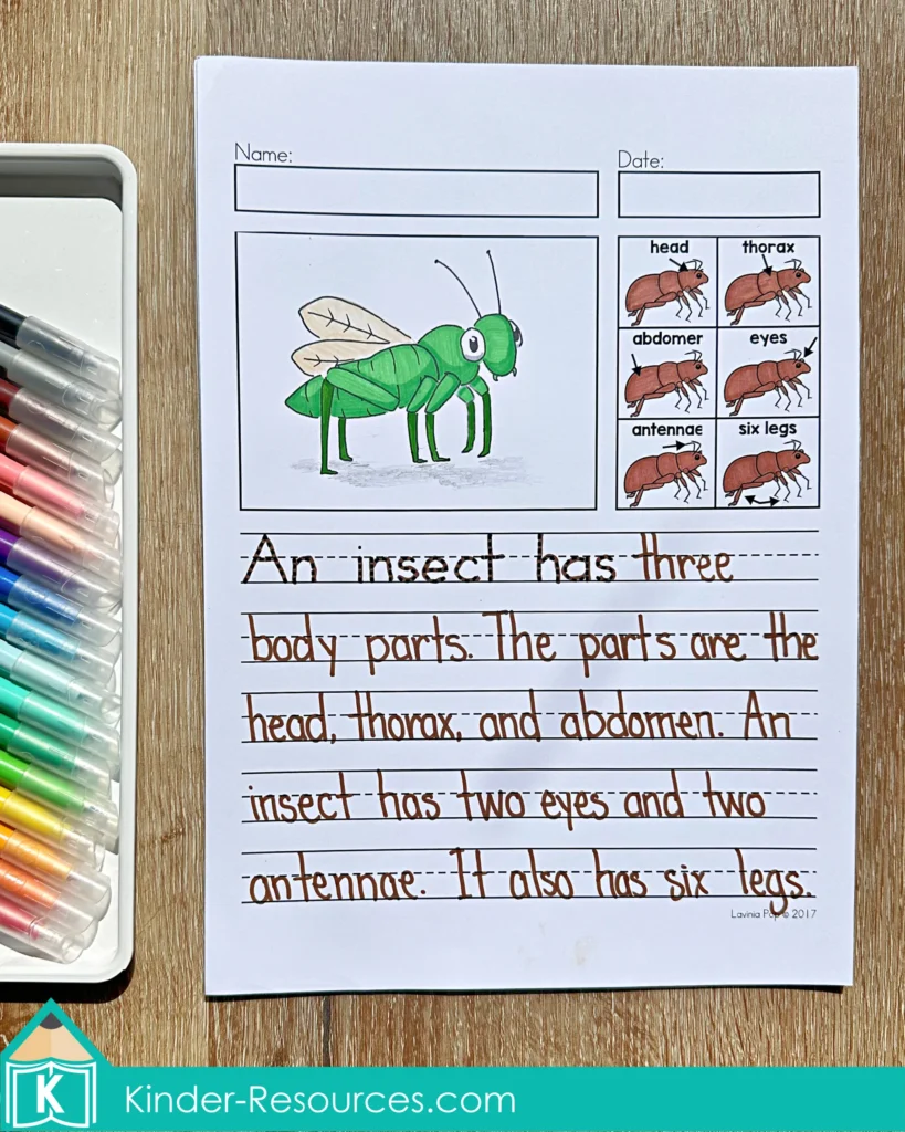 April Writing Journal Prompts insect writing worksheet describing insect body parts including head thorax abdomen antennae and legs