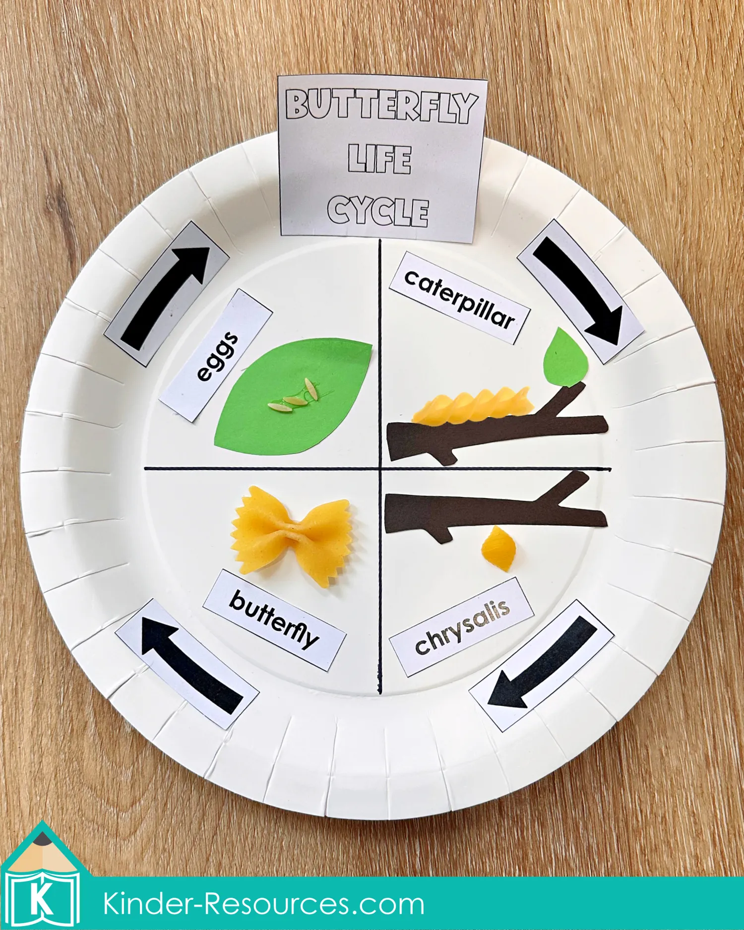 Caterpillars and Butterflies Preschool Circle Time Activities Butterfly Life Cycle Craft with Pasta Caterpillars and Butterflies Preschool Circle Time Activities butterfly life cycle craft using paper plate labels eggs caterpillar chrysalis butterfly and pasta pieces