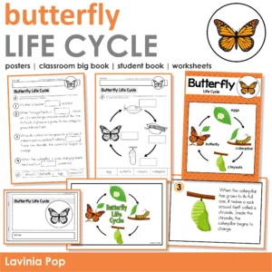 Butterfly Life Cycle Activities worksheets booklets posters kindergarten science cut and paste life cycle sequencing activities