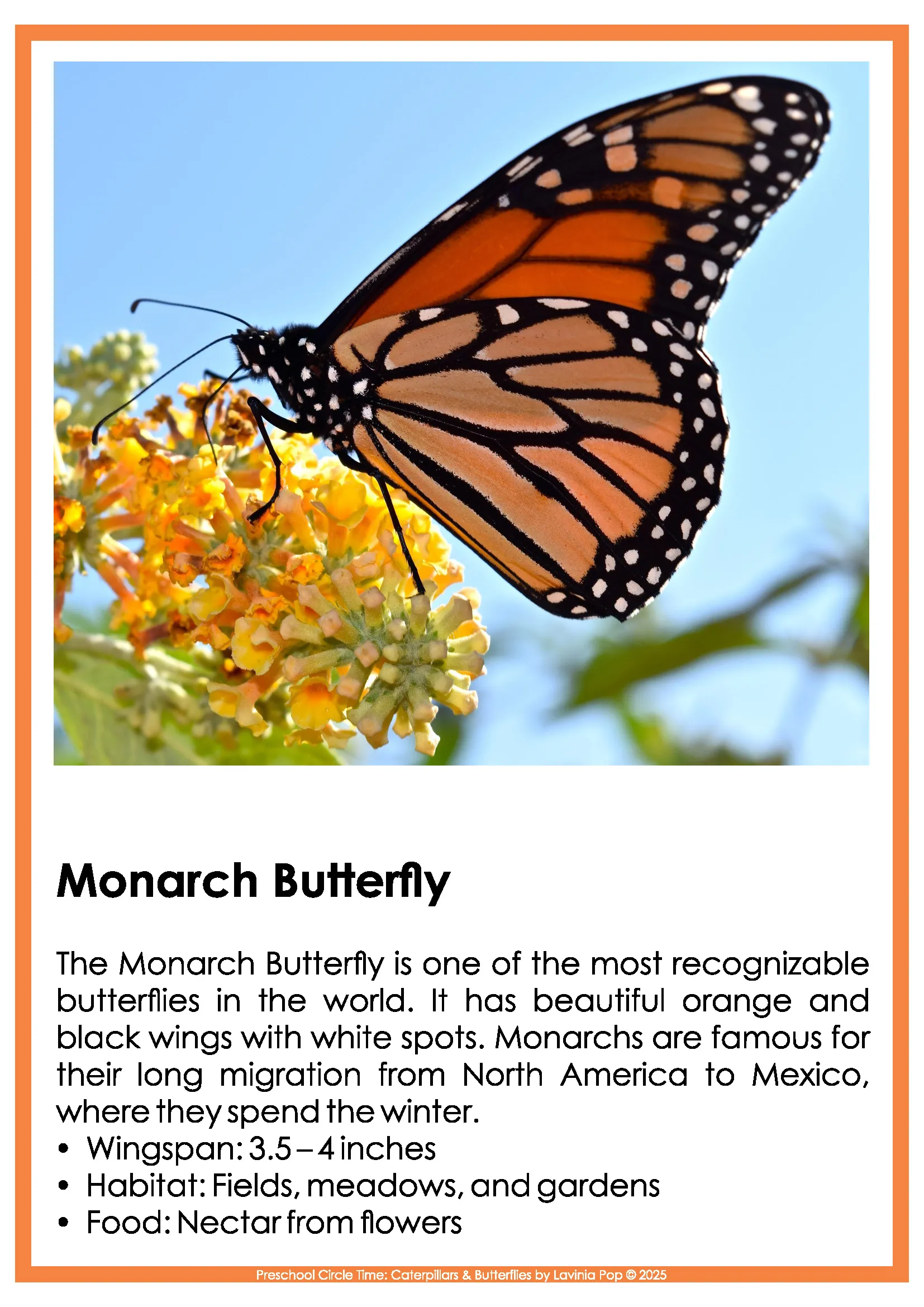 Caterpillars and Butterflies Preschool Circle Time Activities Monarch Butterfly Nonfiction Poster Caterpillars and Butterflies Preschool Circle Time Activities monarch butterfly nonfiction poster with facts about wingspan habitat migration and nectar feeding
