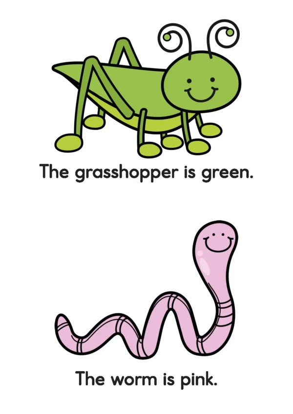 Bugs & Insects Preschool Worksheets and Activities No Prep