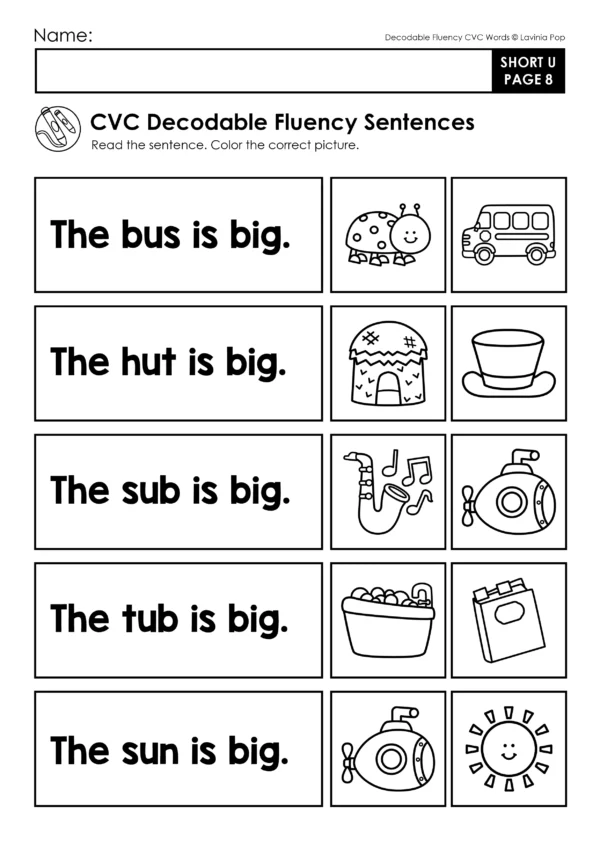 CVC Decodable Fluency Sentences