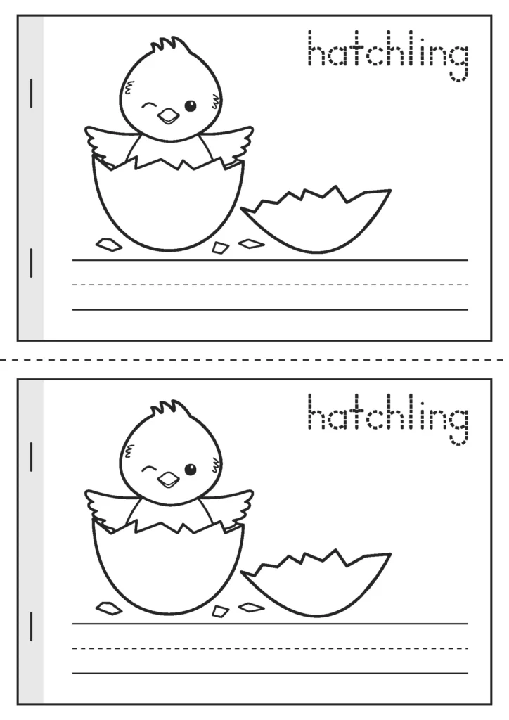 Spring Vocabulary Booklet hatchling vocabulary page with chick hatching illustration and writing lines