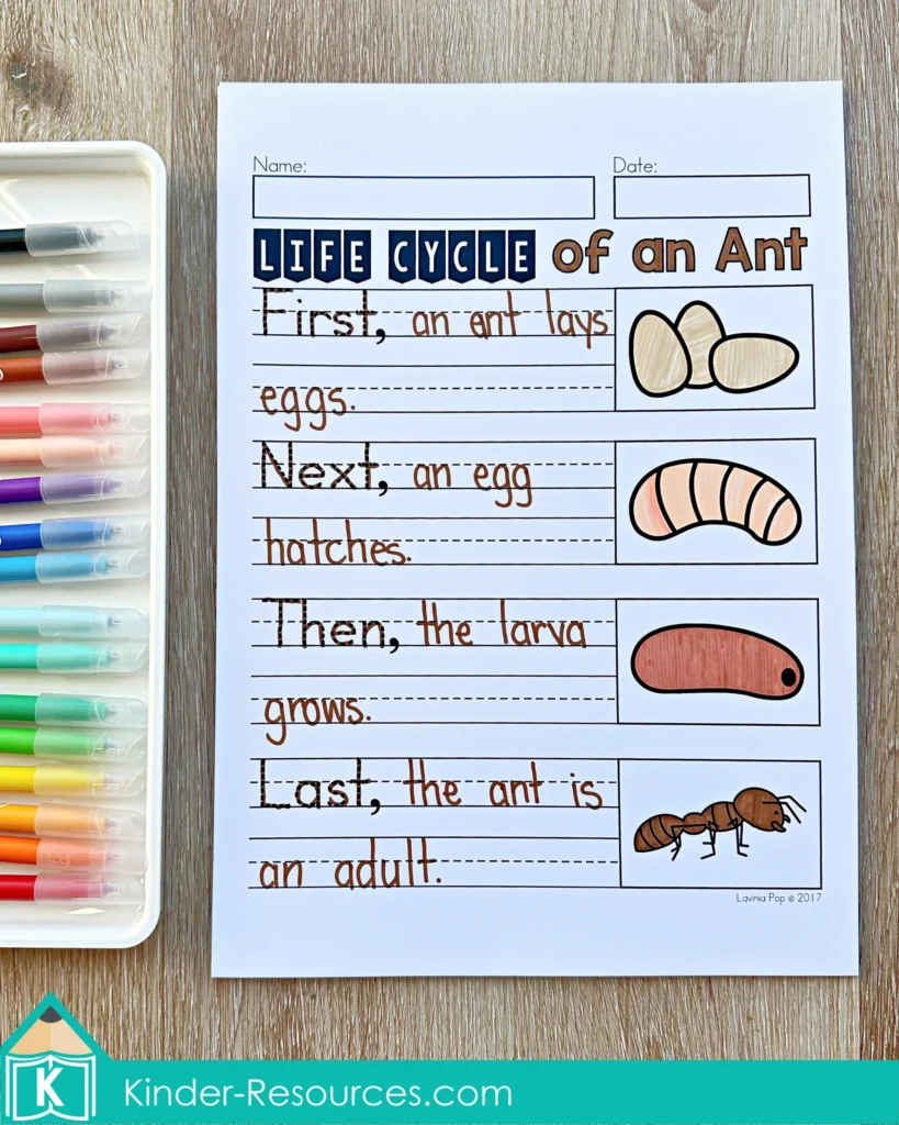 May Writing Journal Prompts procedural writing worksheet showing life cycle of an ant from eggs to adult