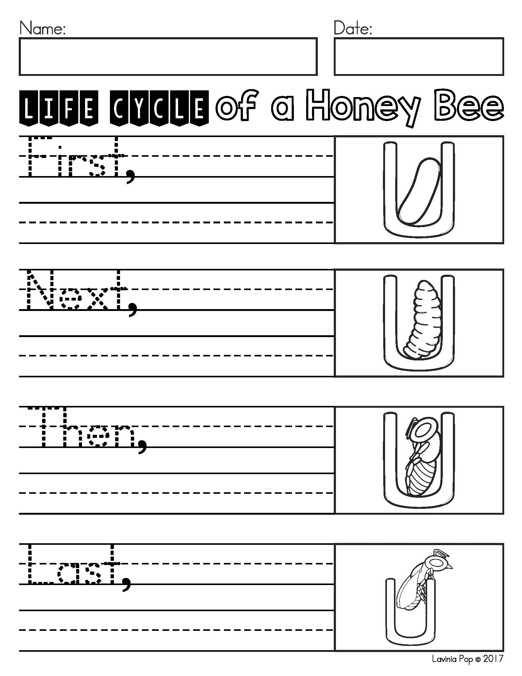 June Writing Journal Prompts Honey Bee Life Cycle Writing Activity June Writing Journal Prompts life cycle of a honey bee writing worksheet with sequencing and procedural writing practice for elementary students