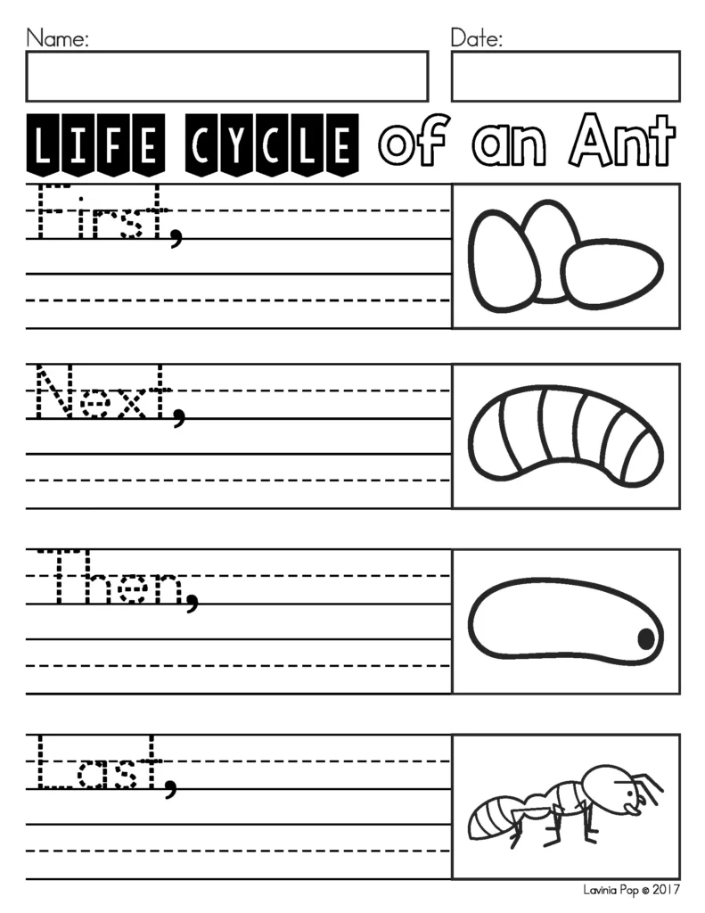 May Writing Journal Prompts procedural writing worksheet about life cycle of an ant with stages eggs larva and adult